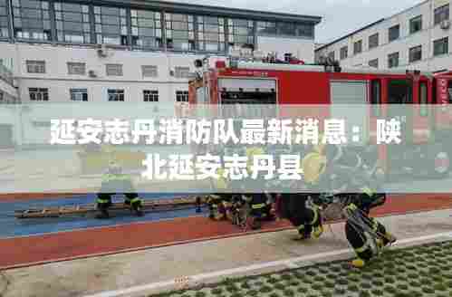 延安志丹消防队最新消息：陕北延安志丹县 