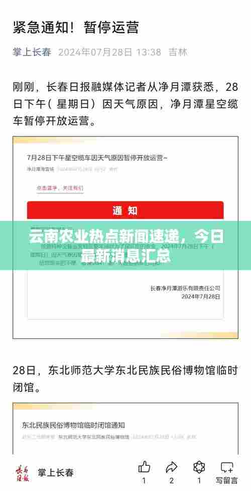 云南农业热点新闻速递,今日最新消息汇总