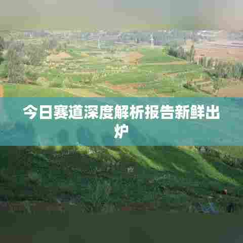 今日赛道深度解析报告新鲜出炉