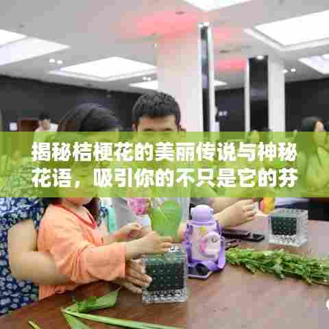 揭秘桔梗花的美丽传说与神秘花语,吸引你的不只是它的芬芳!