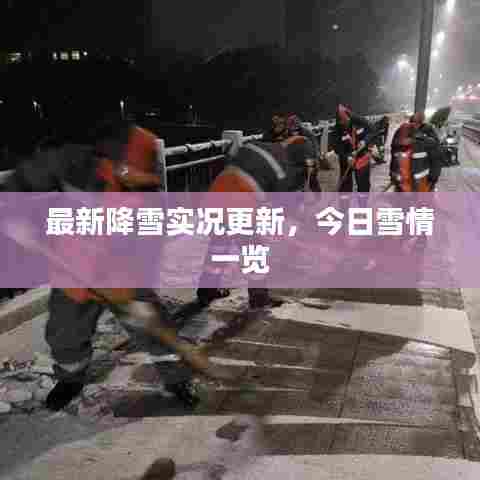 最新降雪实况更新,今日雪情一览