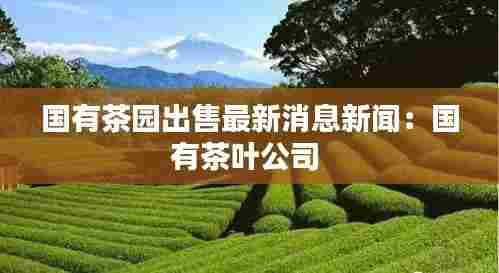 国有茶园出售最新消息新闻:国有茶叶公司