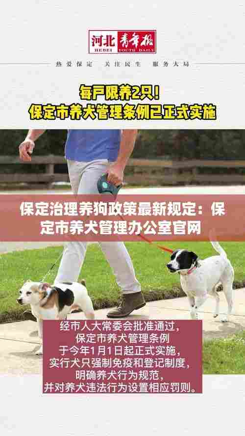 保定治理养狗政策最新规定:保定市养犬管理办公室官网