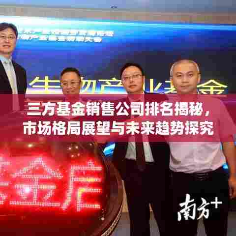 三方基金销售公司排名揭秘,市场格局展望与未来趋势探究