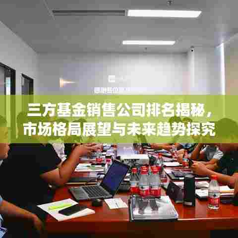 三方基金销售公司排名揭秘,市场格局展望与未来趋势探究