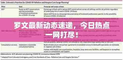罗文最新动态速递,今日热点一网打尽!