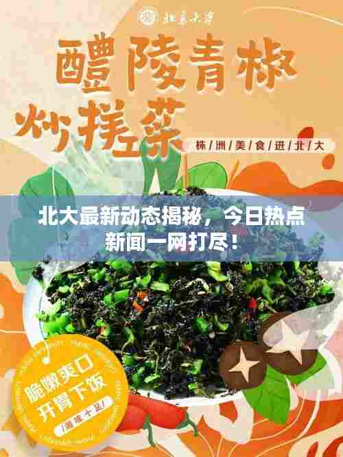 北大最新动态揭秘,今日热点新闻一网打尽!
