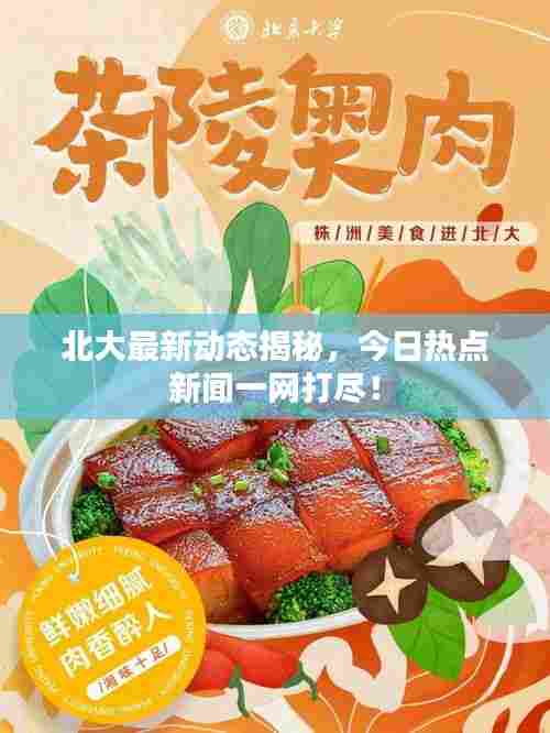北大最新动态揭秘,今日热点新闻一网打尽!