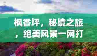 枫香坪,秘境之旅,绝美风景一网打尽!旅游攻略大揭秘!