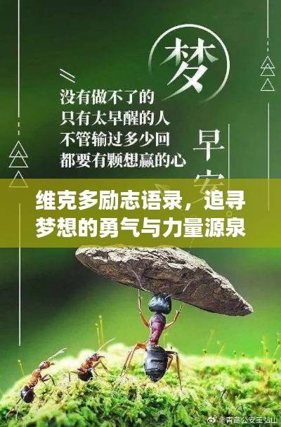 维克多励志语录,追寻梦想的勇气与力量源泉!