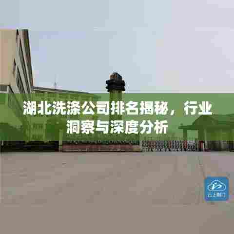 湖北洗涤公司排名揭秘，行业洞察与深度分析