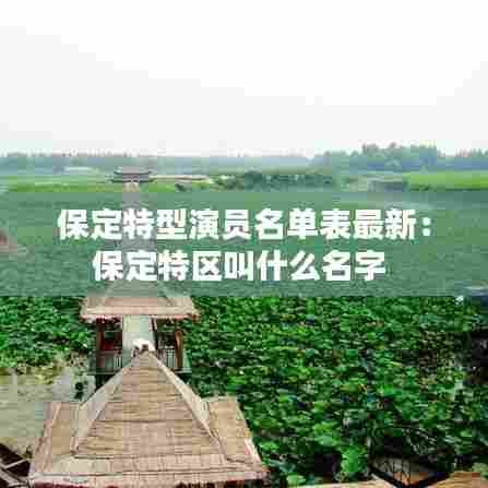 保定特型演员名单表最新:保定特区叫什么名字