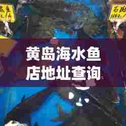 黄岛海水鱼店地址查询最新:黄岛开发区水族馆