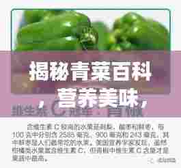 持之以恒 第4页