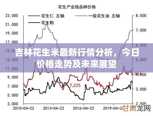 吉林花生米最新行情分析，今日价格走势及未来展望
