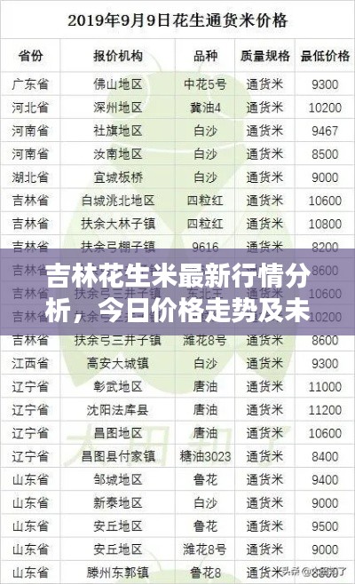 吉林花生米最新行情分析,今日价格走势及未来展望