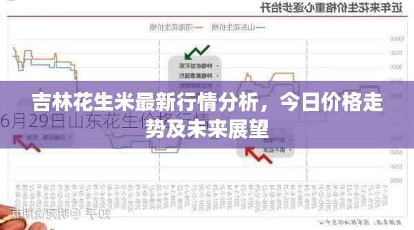 吉林花生米最新行情分析,今日价格走势及未来展望