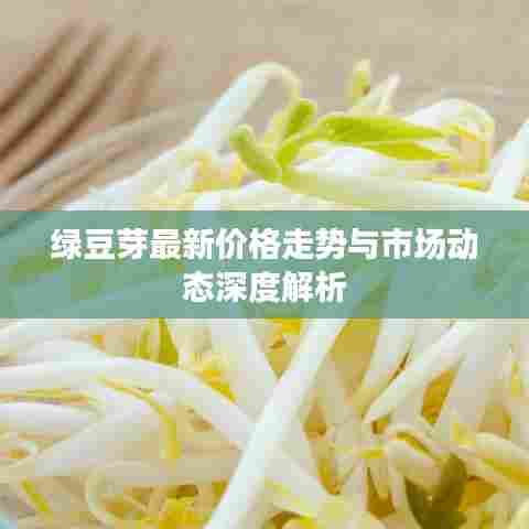 绿豆芽最新价格走势与市场动态深度解析