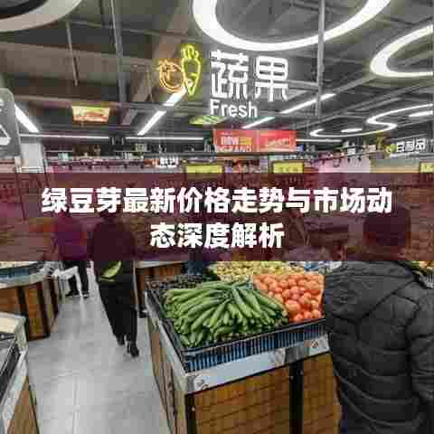 绿豆芽最新价格走势与市场动态深度解析