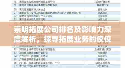 崇明拓展公司排名及影响力深度解析,探寻拓展业务的佼佼者