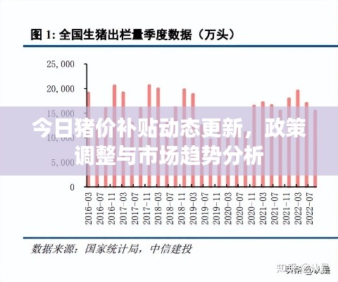 今日猪价补贴动态更新,政策调整与市场趋势分析