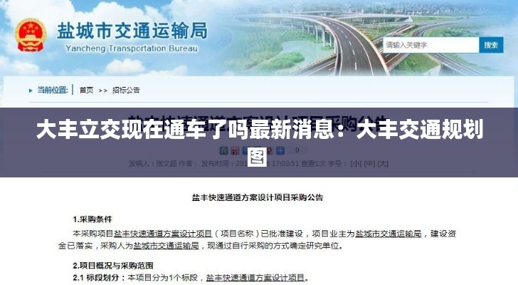 大丰立交现在通车了吗最新消息:大丰交通规划图