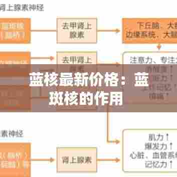 展翅欲飞 第5页
