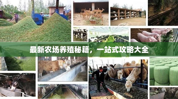 最新农场养殖秘籍,一站式攻略大全