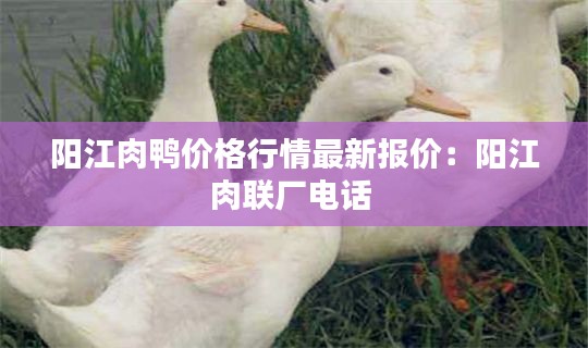 阳江肉鸭价格行情最新报价:阳江肉联厂电话