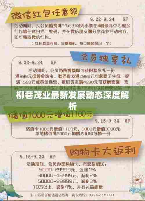 柳巷茂业最新发展动态深度解析