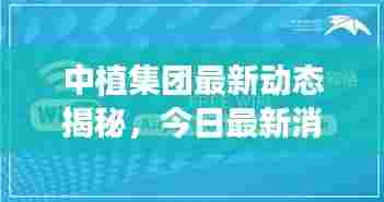 飞奇钩货 第4页
