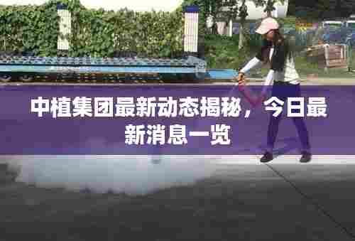 中植集团最新动态揭秘,今日最新消息一览