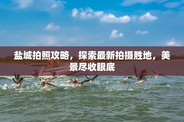 盐城拍照攻略,探索最新拍摄胜地,美景尽收眼底