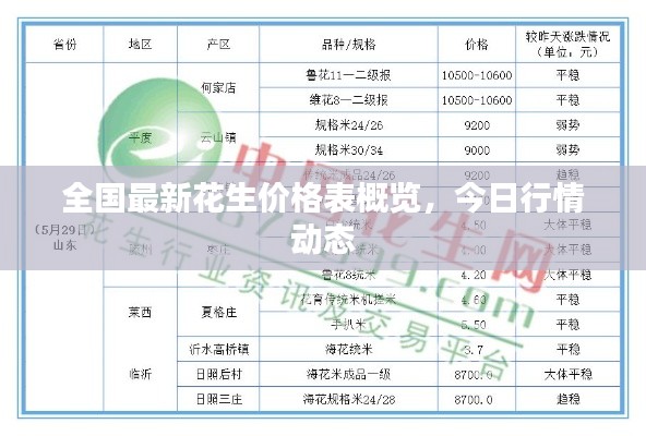 全国最新花生价格表概览，今日行情动态