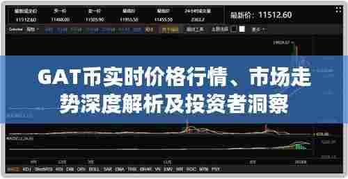 GAT币实时价格行情、市场走势深度解析及投资者洞察
