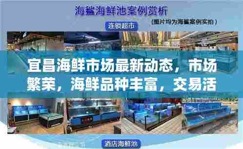 宜昌海鲜市场最新动态,市场繁荣,海鲜品种丰富,交易活跃!