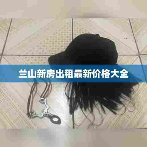 兰山新房出租最新价格大全