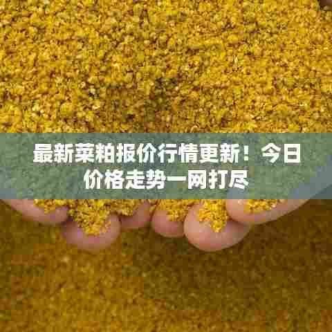 最新菜粕报价行情更新!今日价格走势一网打尽