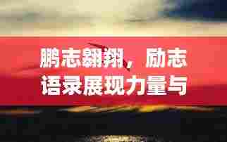 鹏志翱翔,励志语录展现力量与决心