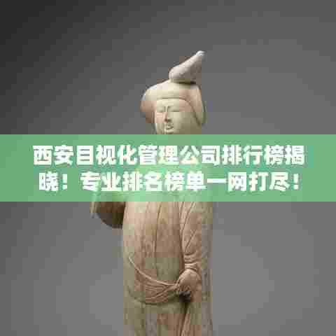 西安目视化管理公司排行榜揭晓!专业排名榜单一网打尽!