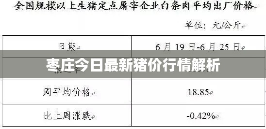 枣庄今日最新猪价行情解析