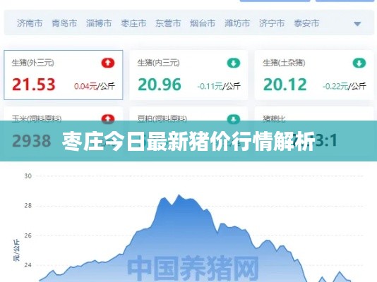 枣庄今日最新猪价行情解析