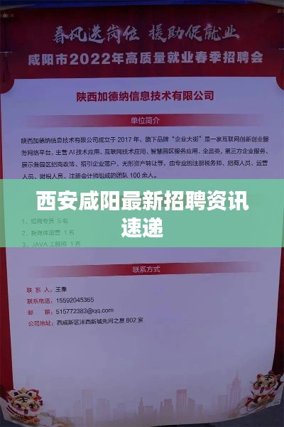 西安咸阳最新招聘资讯速递