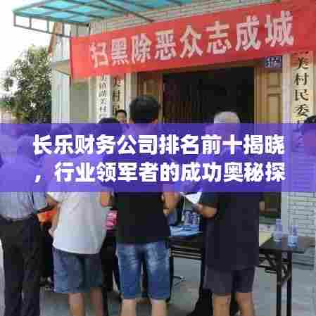 长乐财务公司排名前十揭晓,行业领军者的成功奥秘探索