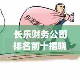 长乐财务公司排名前十揭晓,行业领军者的成功奥秘探索