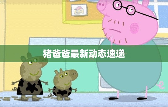 猪爸爸最新动态速递