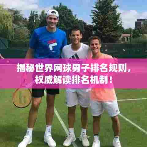 揭秘世界网球男子排名规则,权威解读排名机制!