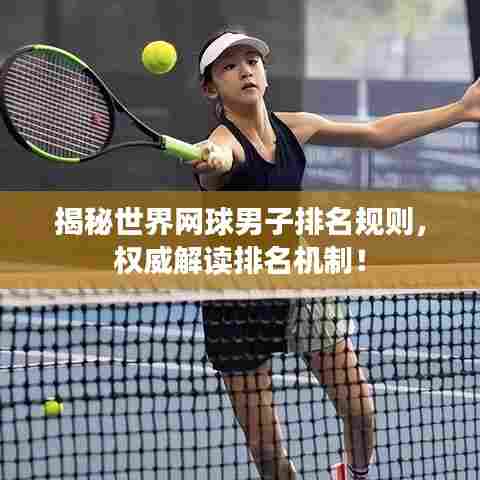 揭秘世界网球男子排名规则,权威解读排名机制!
