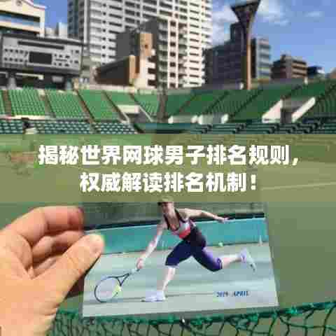 揭秘世界网球男子排名规则,权威解读排名机制!