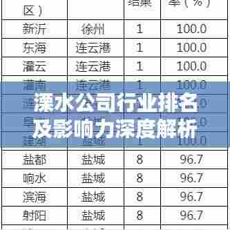 溧水公司行业排名及影响力深度解析